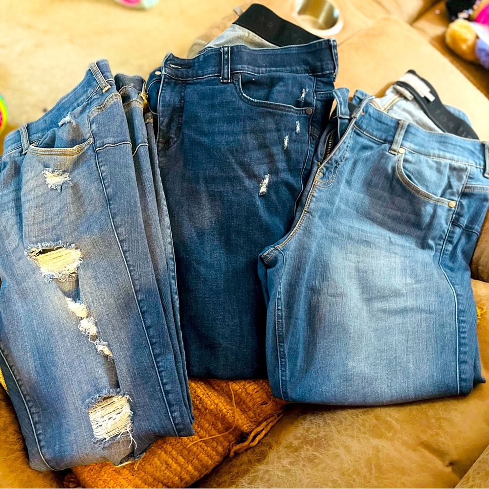 Woman’s Torrid Bombshell Jeans
